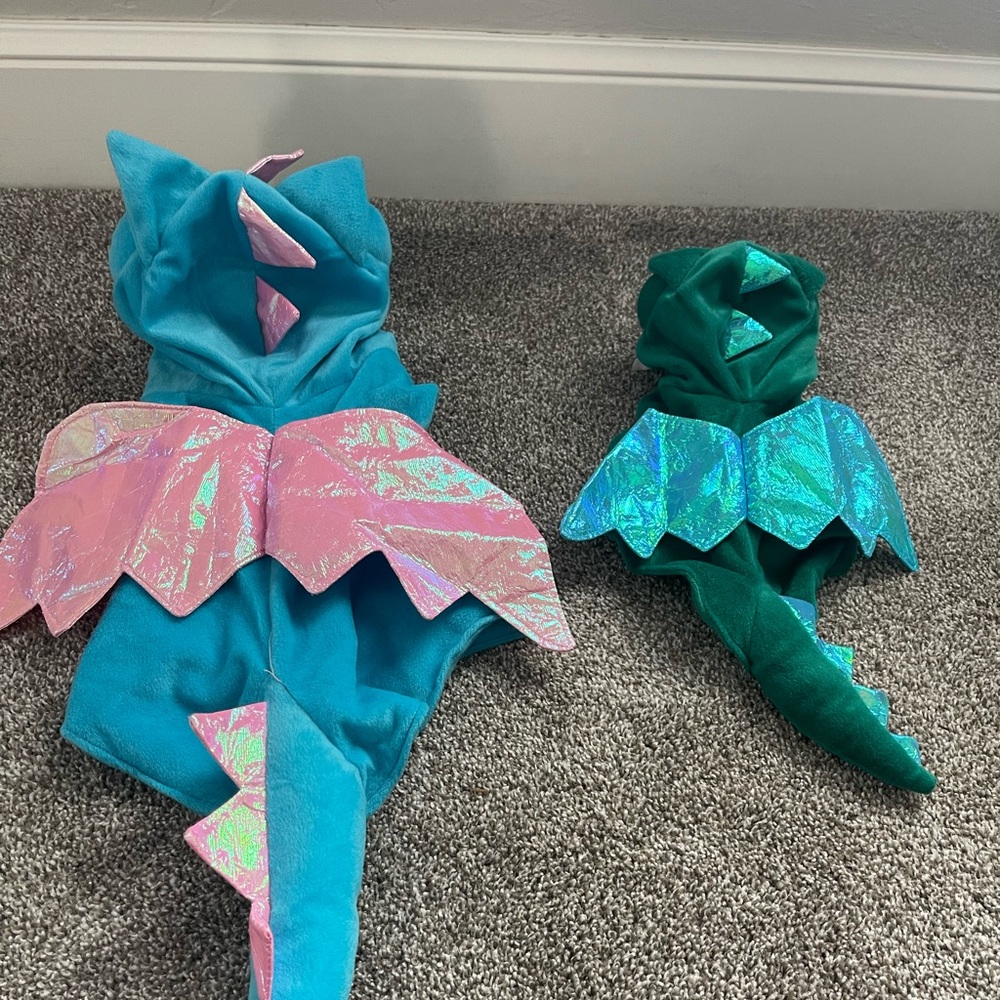 Dog dragon customers, Small and XS.